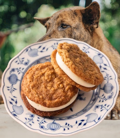 Dogs Eat Oatmeal Cream Pies