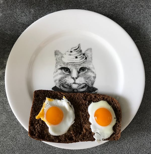 Can Cats Eat Eggs?