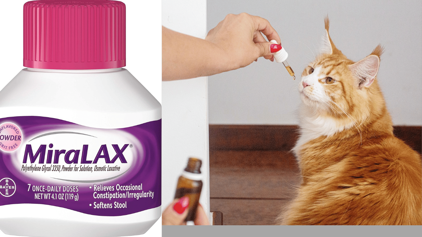 Miralax for Cats