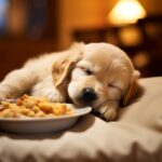 Puppy Not Eating And Sleeping a Lot